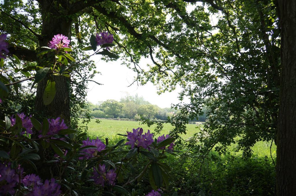 Leyland Country House Lymington Luaran gambar