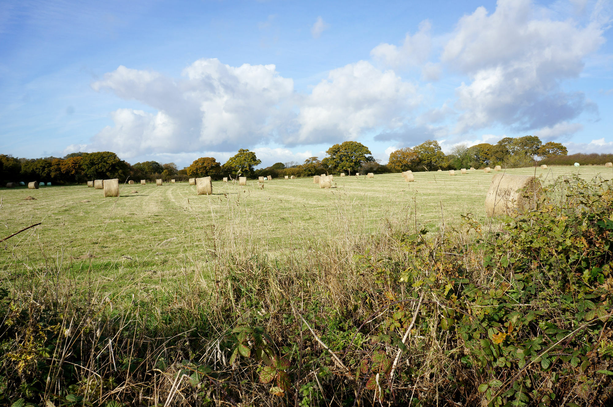 Leyland Country House Lymington Luaran gambar